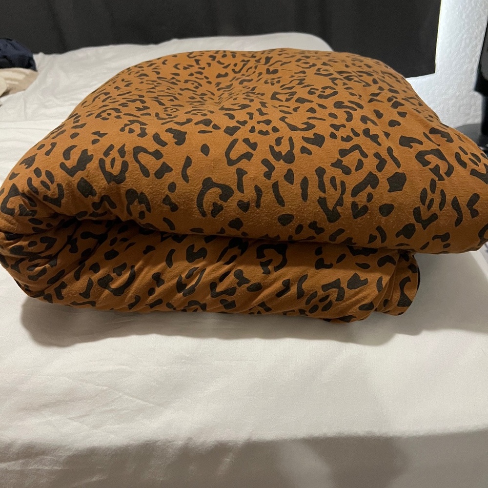 Adult kyte baby blanket